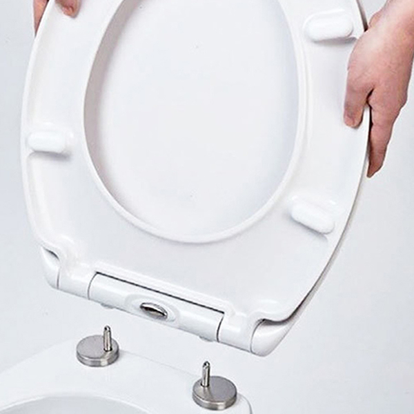 image of a Toilet Seat that can be removed easily