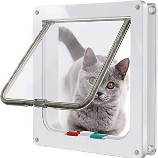 image of a Cute Cat, looking through a Cat Flap  